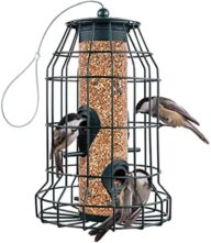 Squirrel Resistant Bird Feeders 22 oz. Bird Feeder with 4 Perches for Small Backyard Birds ONLY. Bird Feeder Squirrel Proof/Chew Proof/Rustproof. Fill with Wild Bird Seed for Outside Feeders