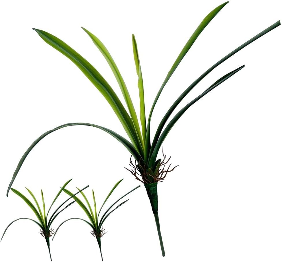 Set of 3 Real Touch Artificial Cymbidium Plants with Stems and Roots Faux Greenery Leaves for Pot or Vase Faux Orchid Stems That Look Real for Indoor Home Office Decoration (Green)