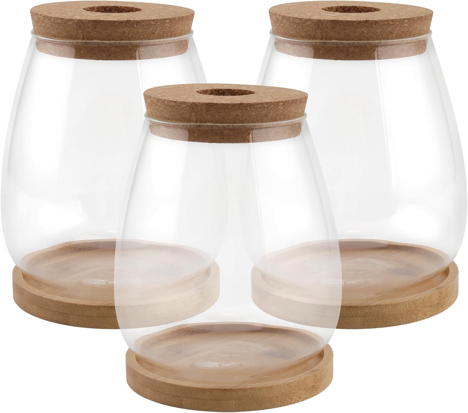 3 PCS Plant Terrarium Jar, Glass Propagation Jars Vase with Lid, Plant Glass Containers with Bamboo Tray, Glass Planter Hydroponics Vase for Water Air Plants Indoor, Monstera, Orchid, Decor