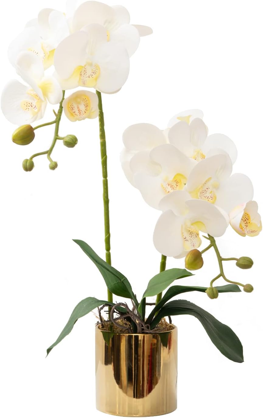 Artificial Orchid Flowers White Faux Orchids with Ceramic Vase Vivid Fake Phalaenopsis Flower Arrangement Gorgeous Artificial Plants for Office Desk Wedding Party Exhibition Center & Home Table Decor