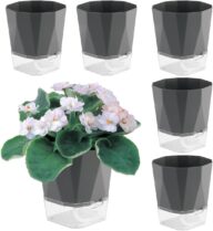 6 Pack Self Watering Plant Pots 5 Inches Self Watering Planters for indoor and Outdoor plants African Violet Self Watering Pots Clear Pots for Plants Herb Orchid Flower Houseplant Pots, Dark Grey