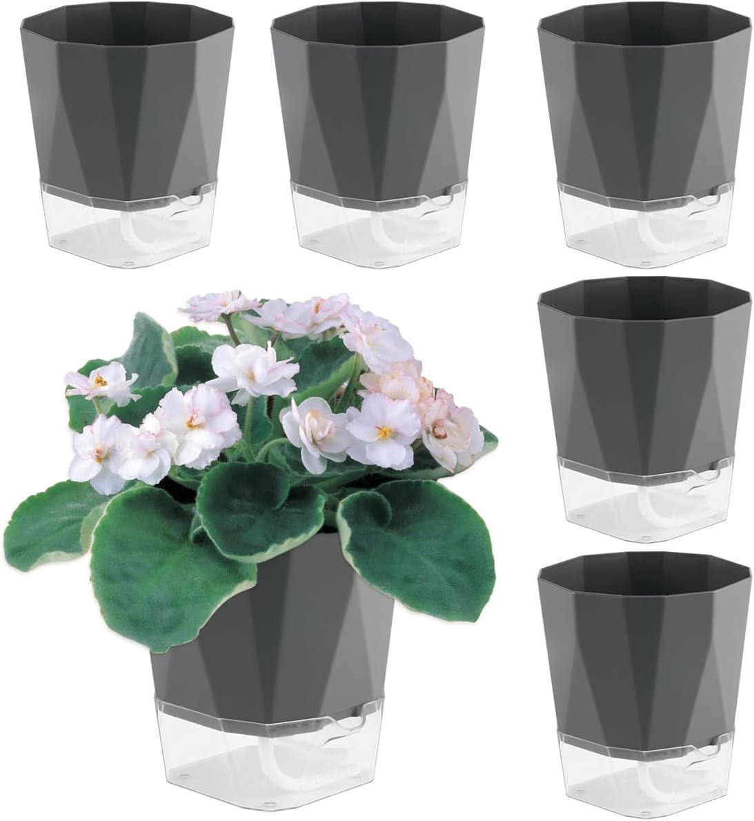 6 Pack Self Watering Plant Pots 5 Inches Self Watering Planters for indoor and Outdoor plants African Violet Self Watering Pots Clear Pots for Plants Herb Orchid Flower Houseplant Pots, Dark Grey