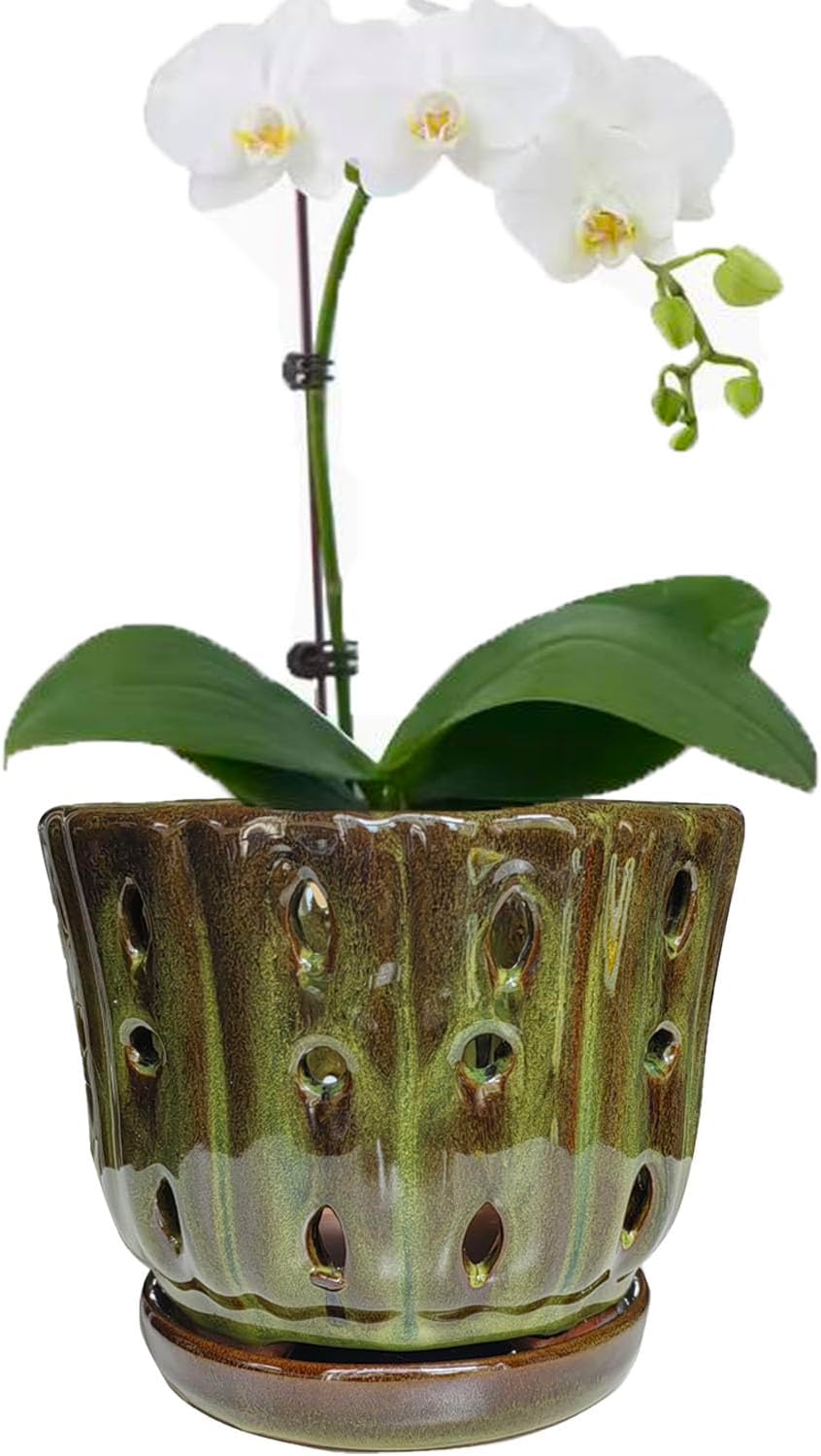 Ceramic Orchid Pots with Attached Saucer and Drainage Hole 6” Orchid Planter (mossgreen)