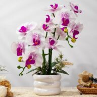 Artificial Orchids Flowers with Vase for Table Centerpieces, Real Touch Faux White Orchid Phalaenopsis in Ceramic Vase for Home Wedding Kitchen Decoration (White Vase, White Purple)