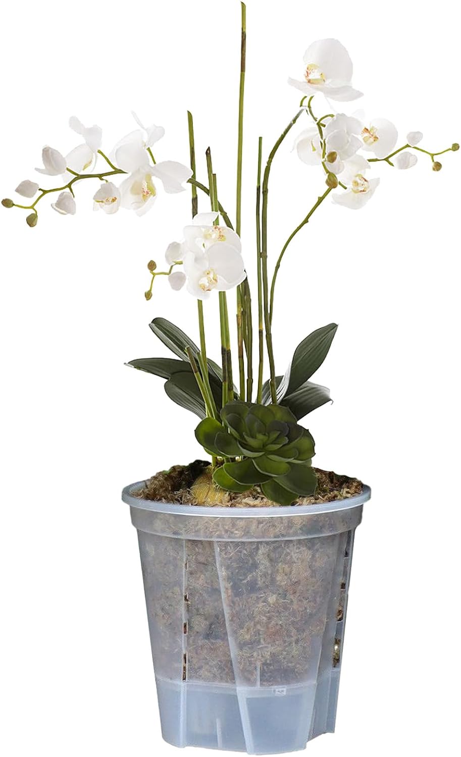 5pcs Orchid Pot, Plastic Plant Pot Indoor Outdoor, with Holes for Repotting, Clear Orchid Pot with Holes and Saucers, Breathable Slotted Orchid Planters, Plastic Flower Plant Pots(Clear-7in)