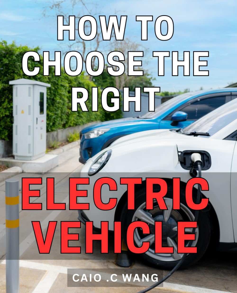 How To Choose The Right Electric Vehicle: Your Ultimate Guide to Selecting the Perfect Electric Ride for Environmentally Conscious Commuters and … – A Practical Gift for Aspiring EV Owners.