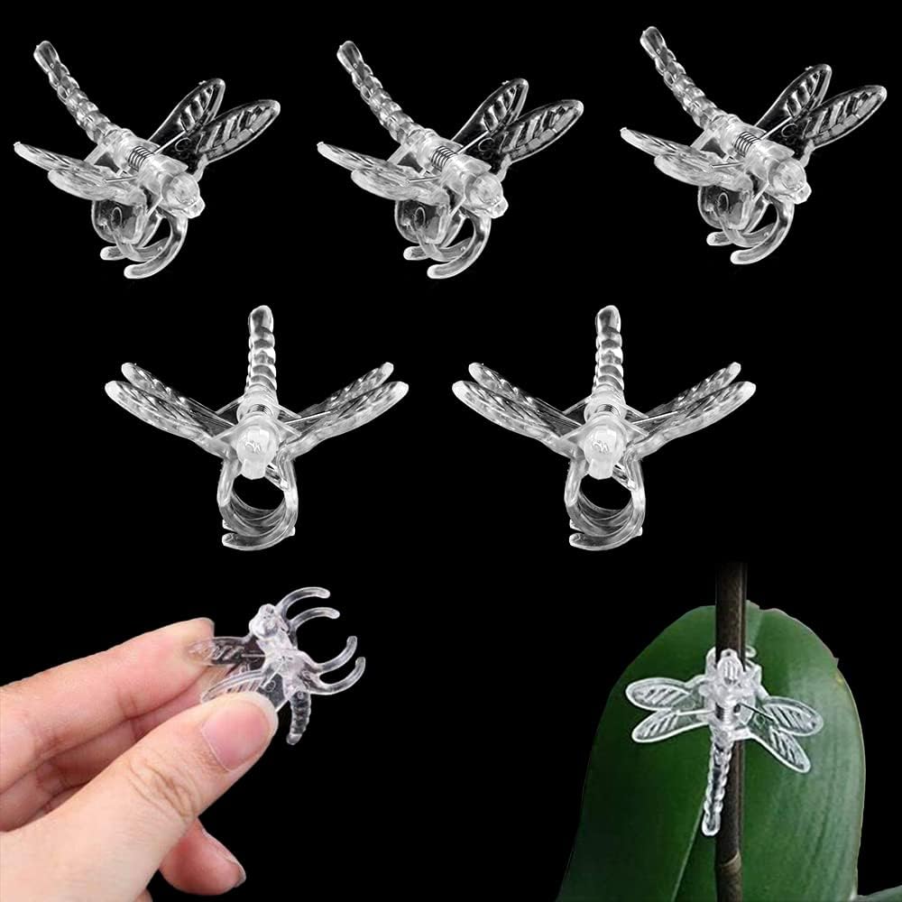 100Pcs Plant Orchid Clips, Garden Plant Support Clip, Dragonfly Orchid Clips, Portable Cute Flower Vine Clips(Transparent)