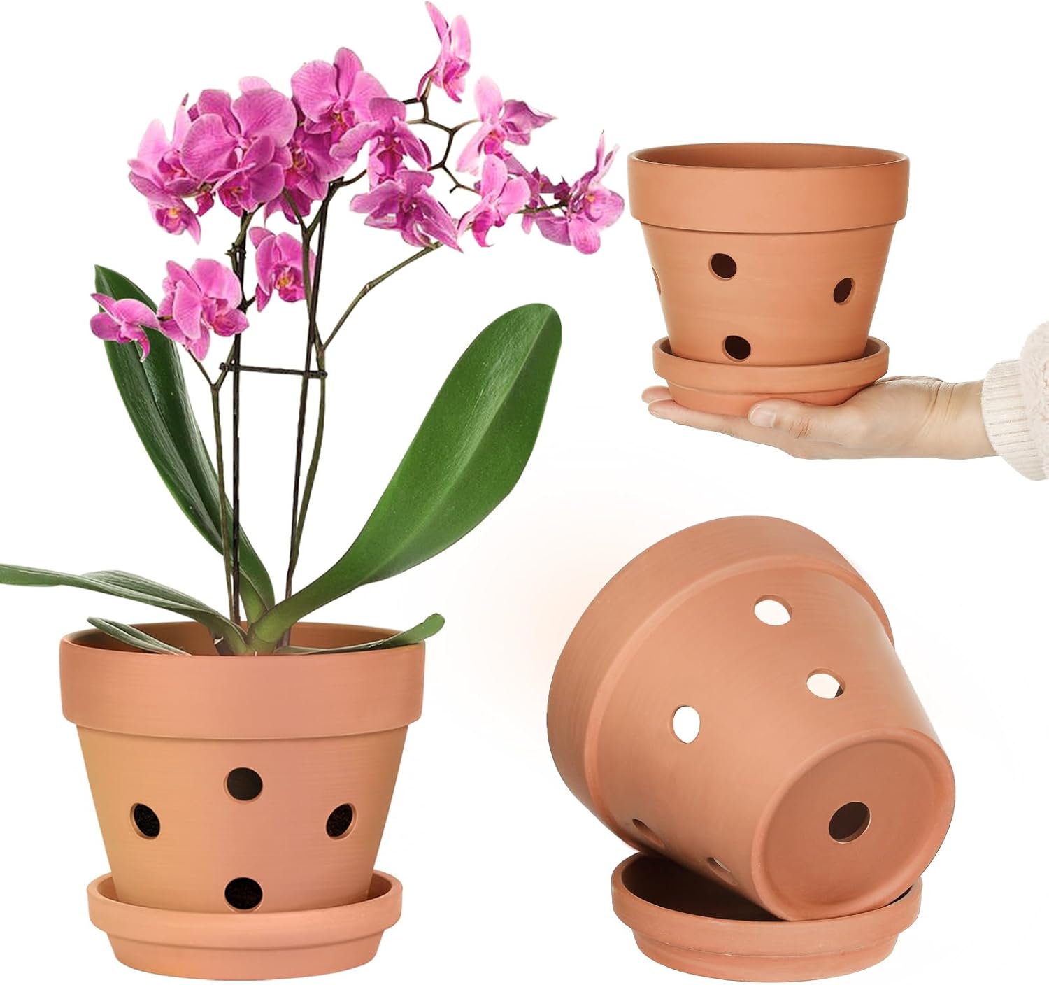 6 Inch Orchid Pot with Holes and Saucers 3 Pcs Terracotta Pots Plant with Drainage Clay Orchid Planter for Repotting Terra Cotta Pot Large Bulk Flower Pot for Indoor Outdoor Promotes Air Circulation