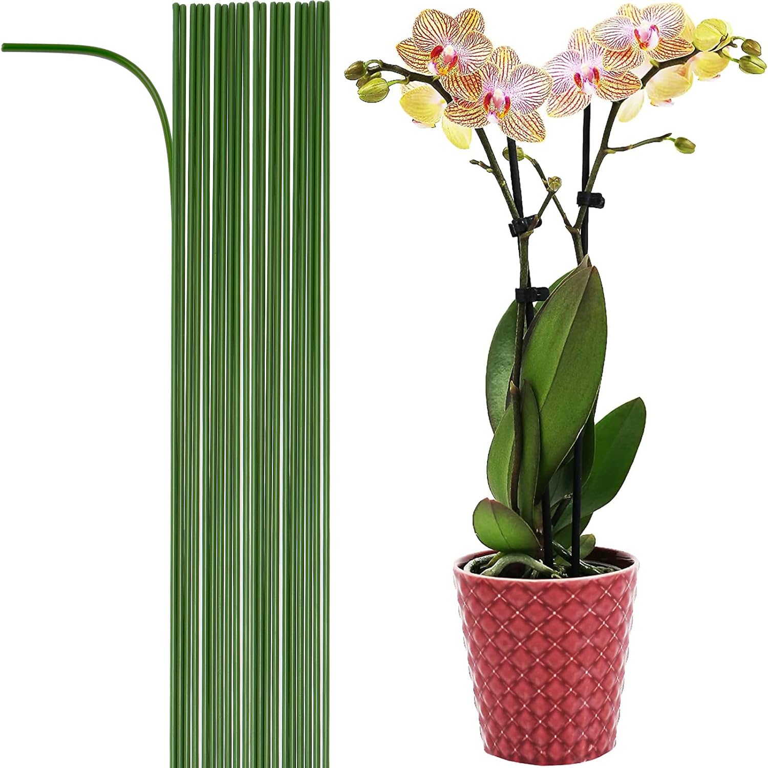 20-PCs 24″ Plastic Coated Orchid Stakes for Plants Support, Bendable Orchid Support Stakes – Green Long