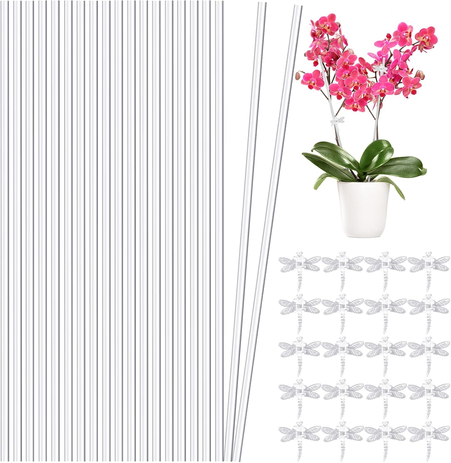 Aboofx 20 Pieces 16 Inch Plant Stakes Acrylic Plant Stakes Garden Stakes Orchid Stakes, Clear Plant Sticks Plant Support Stakes with 20 PCS Clear Dragonfly Orchid Clips for Indoor and Outdoor Plants