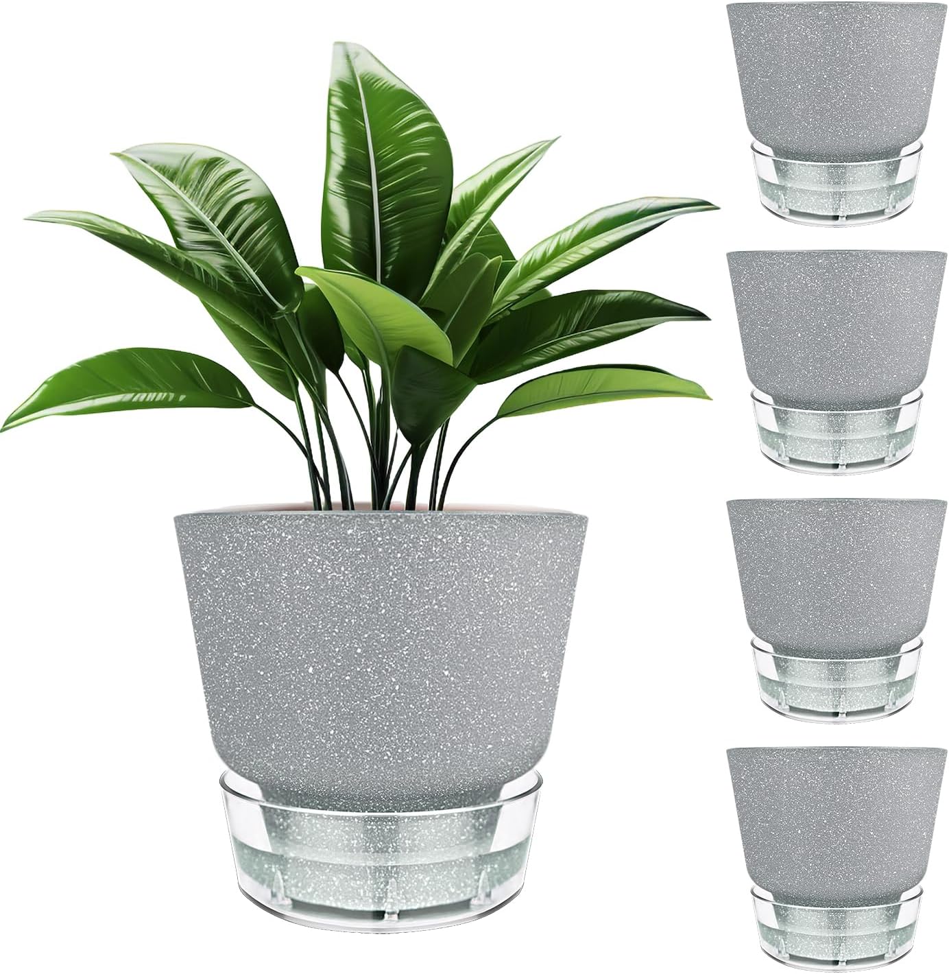 Plant Pots – 6″ Orchid Pot, 5 Pack Orchid Pots with Holes – Self Watering Pots for Indoor Plants – Plant Pots with Drainage Hole and Tray Saucer (Frosted Gray)