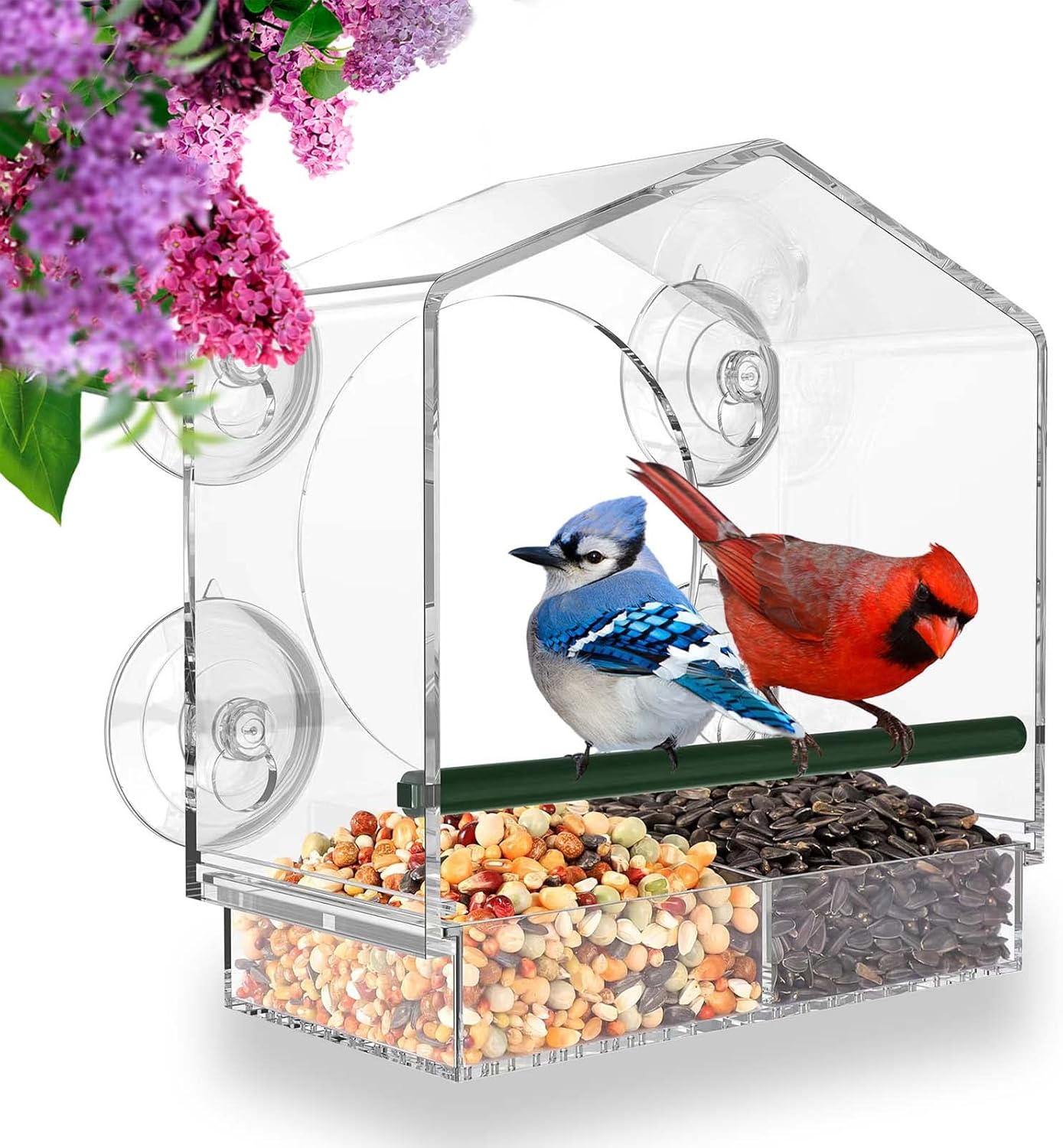 Window Bird Feeder for Outside with Strong Suction Cups, Fits for Cardinals, Finches, Chickadees etc.