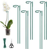 Kingsyard 5 Pack Plant Support Stakes – Adjustable Height 16 or 32 Inch, All Metal Garden Plant Stakes Plant Prop for Single Stem Flowers Amaryllis Orchid Lily Rose Peony Tomatoes Gladiolus (Green)