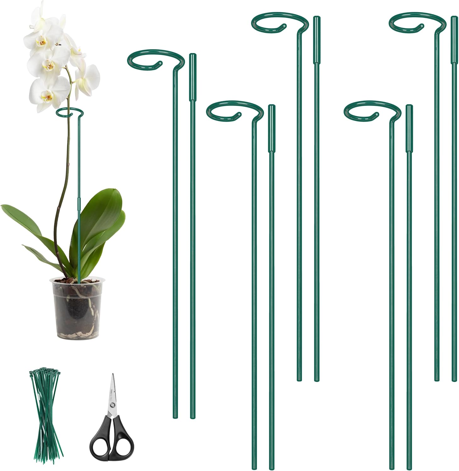 Kingsyard 5 Pack Plant Support Stakes – Adjustable Height 16 or 32 Inch, All Metal Garden Plant Stakes Plant Prop for Single Stem Flowers Amaryllis Orchid Lily Rose Peony Tomatoes Gladiolus (Green)