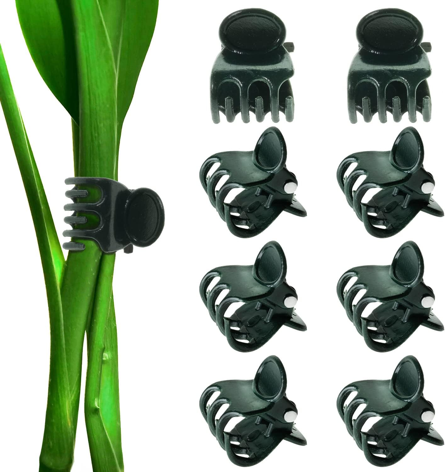 BEADNOVA Orchid Clips 300Pcs Orchid Support Clips Vine Clips Plant Clips for Flower Orchid Vine (300PCS)