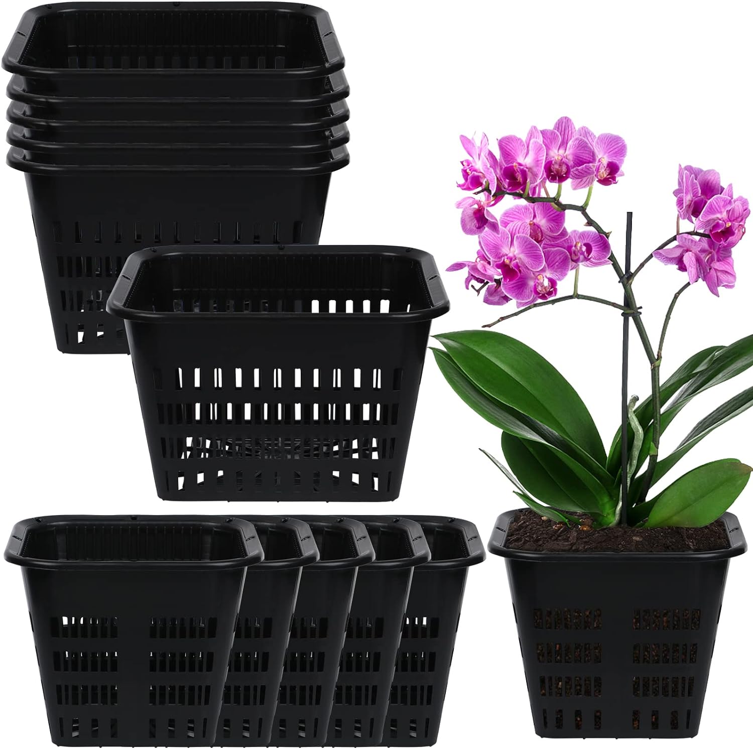 12 Pcs Black Orchid Pot Set Orchid Breathable Slotted Plastic Plant Pot with Drainage Hole Air Plant Pot Orchid Flower Pot Decorative Planter Pots for Orchid Plants Indoor(7.1 Inches,5.5 Inches,Black)