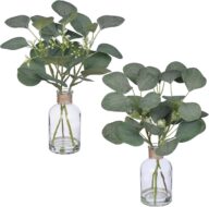 2 Pack Small Fake Plants Eucalyptus Potted，Artificial Eucalyptus Stems in Glass Vase with Faux Water for Shelf Desk Bathroom Farmhouse Room Office Coffee Table kitchen Home Decor (Green)