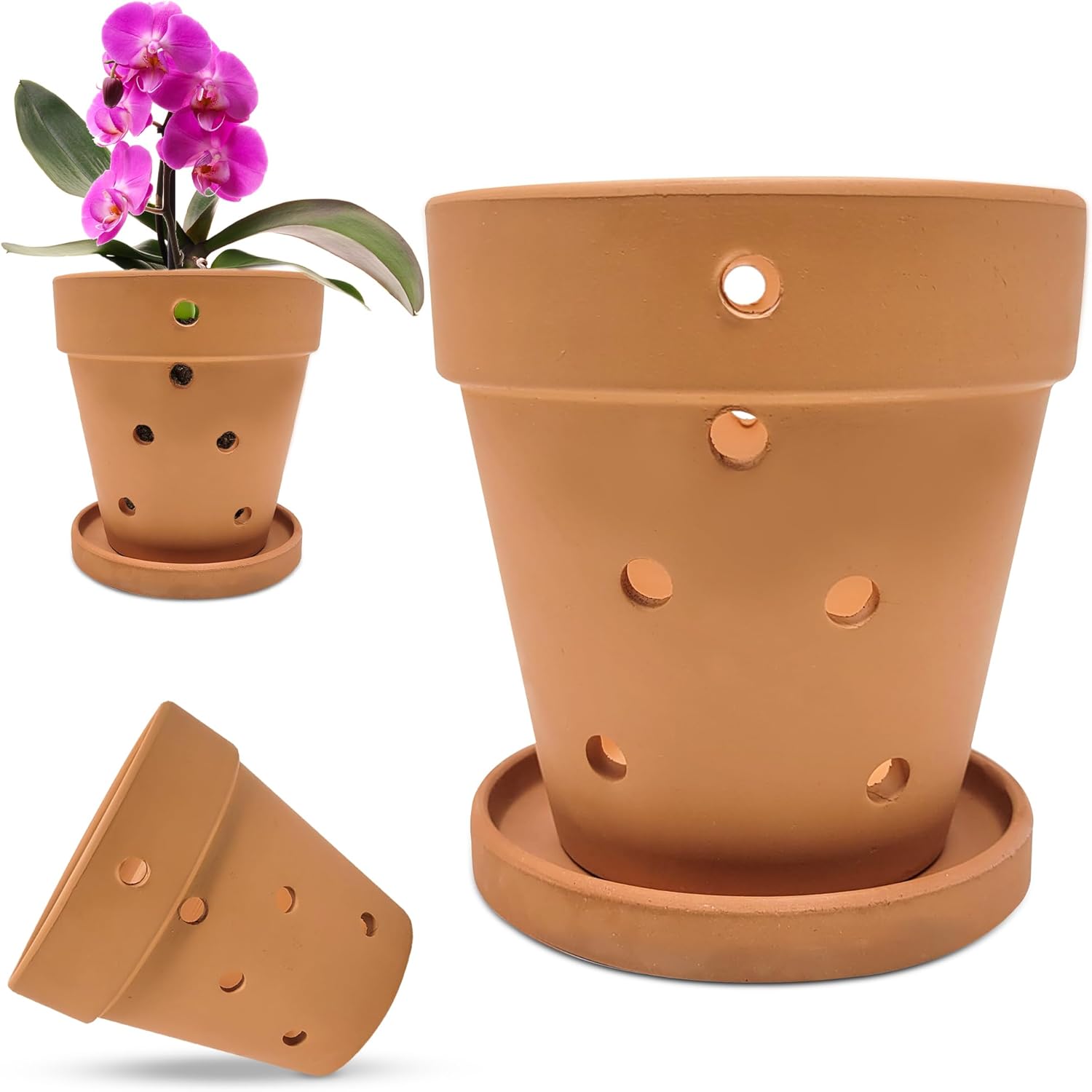 WILD ROOTS CO. Set of 2, 5-inch Terracotta Orchid Pots with Drainage Holes and Saucers. Terracotta Flower Small Planter Clay Garden Pots for Repotting Indoor Outdoor Succulents Air Plants Mothers Day