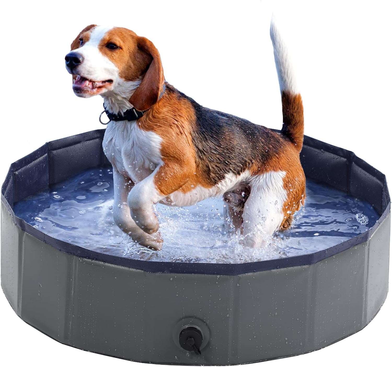 Dog Pool – Dog Pool Kiddie Pool Hard Plastic, Foldable Pool for Dogs Cats and Kids (31.5inch.D x 8.5inch.H, Grey)