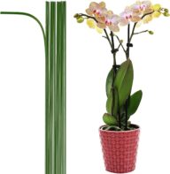 35 3/8″ 12-PCs Plastic Coated Orchid Stakes for Plants Support, Bendable Orchid Support Stakes Plant Stakes – Green Extra Long