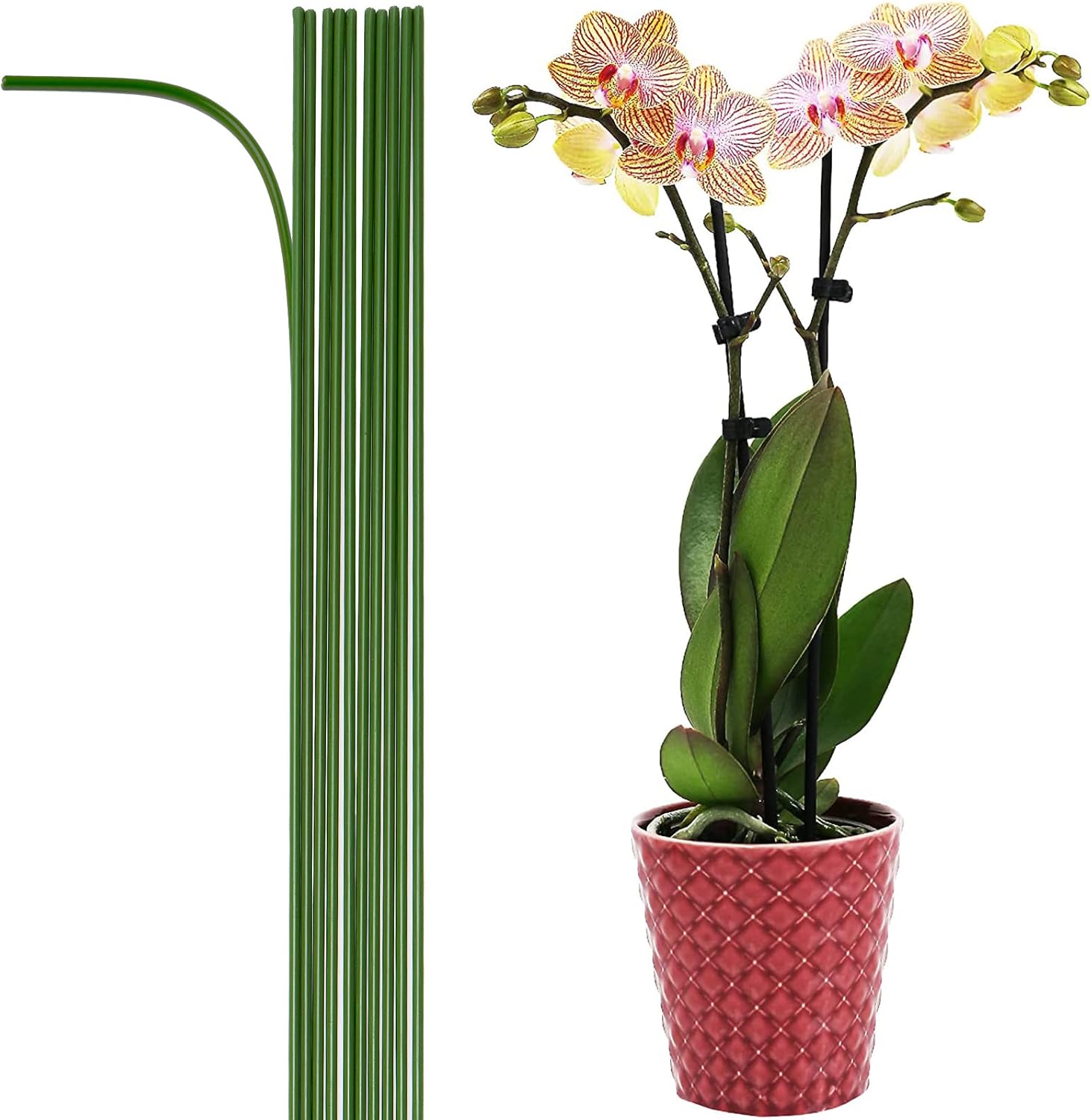 35 3/8″ 12-PCs Plastic Coated Orchid Stakes for Plants Support, Bendable Orchid Support Stakes Plant Stakes – Green Extra Long