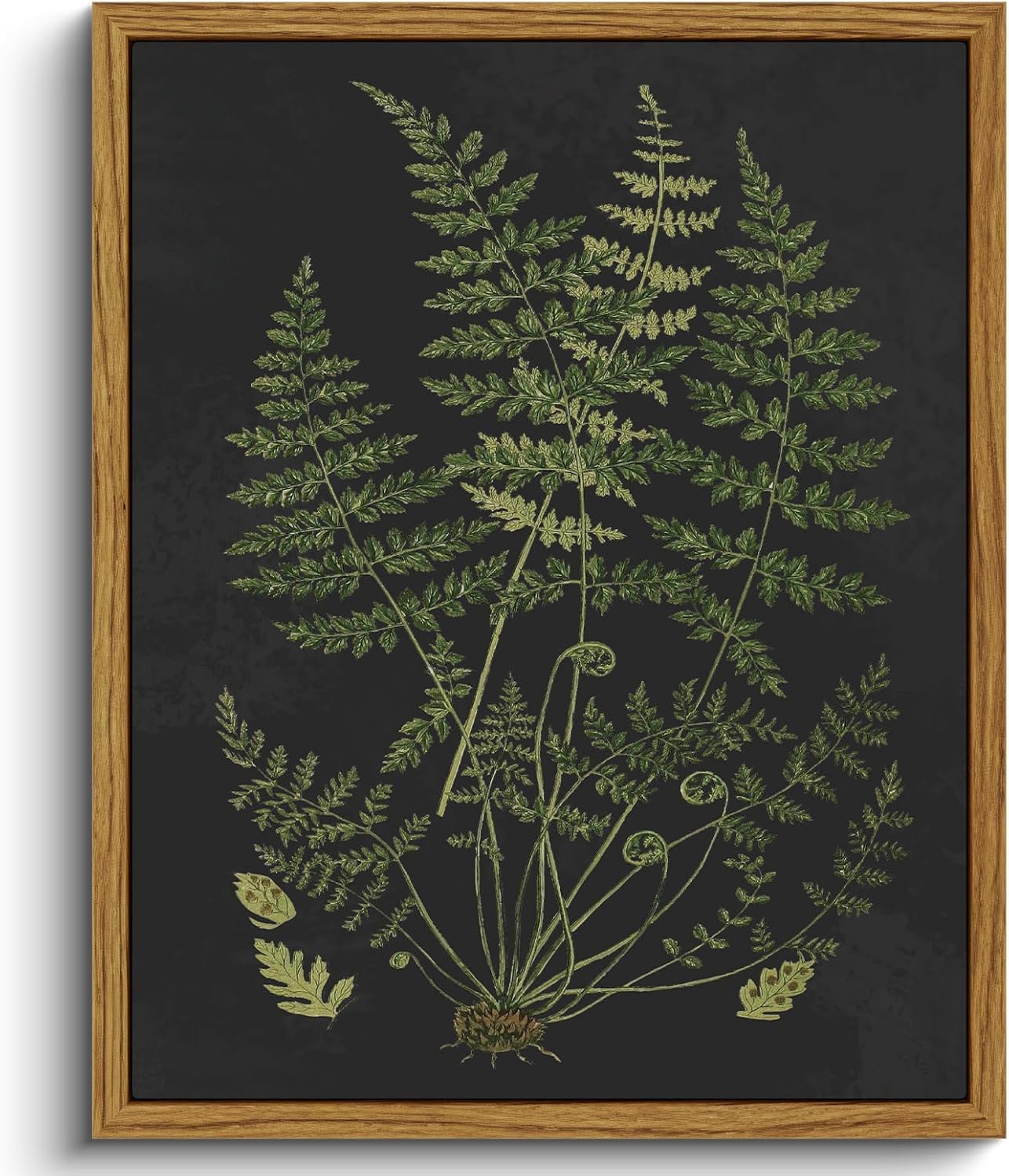 VIYYIEA Framed Boho Wall Art Minimalist Botanical Print Canvas Wall Art Pictures for Rustic Vintage Farmhouse Artwork Bedroom Bathroom House Decor Kitchen Wall Decor 8x10in