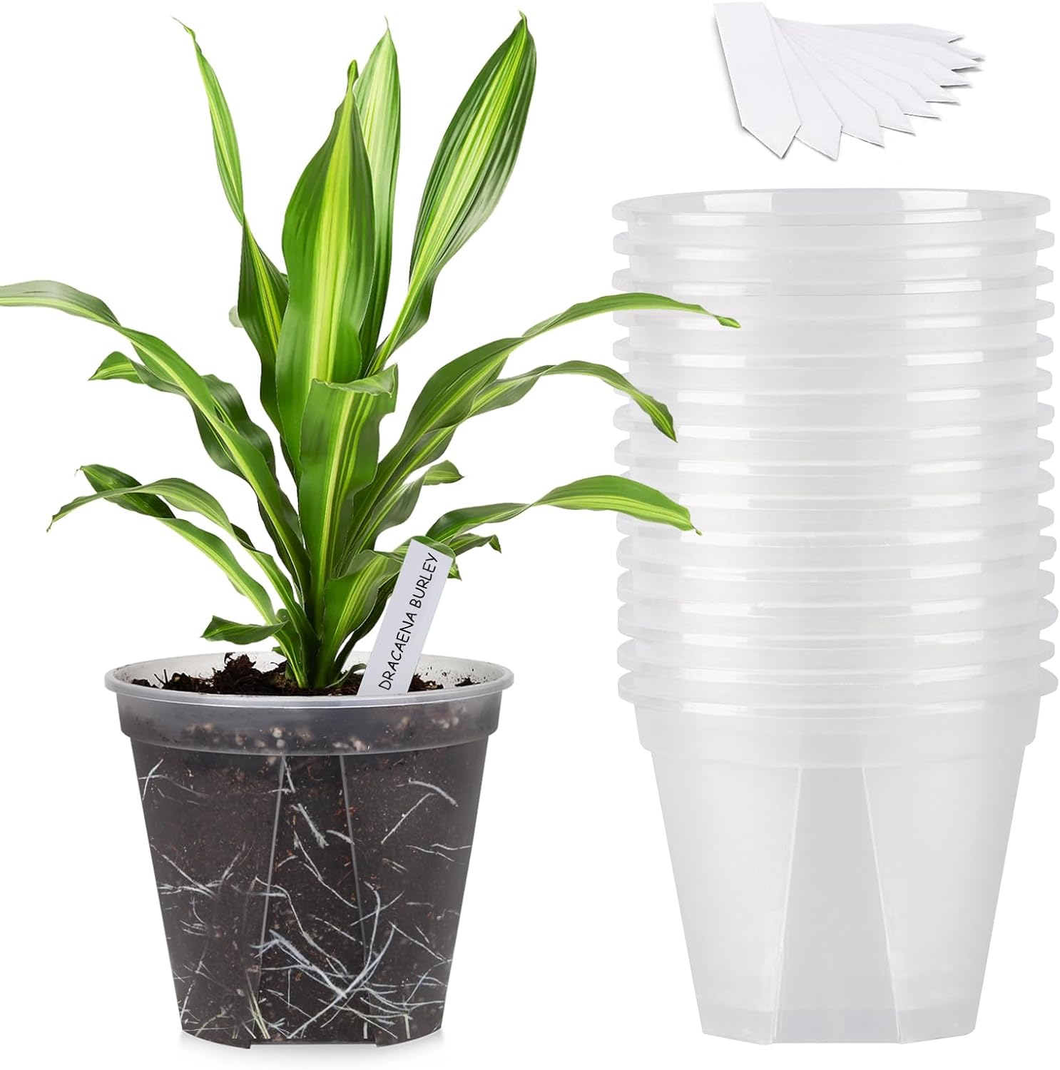 6-inch Transparent Plastic Planter Plant Nursery Pots with Drainage Hole Indoor Modern Decorative Containers for Orchid Plants Herb Flowers Cactus with 10pcs Plant Labels, 15pcs