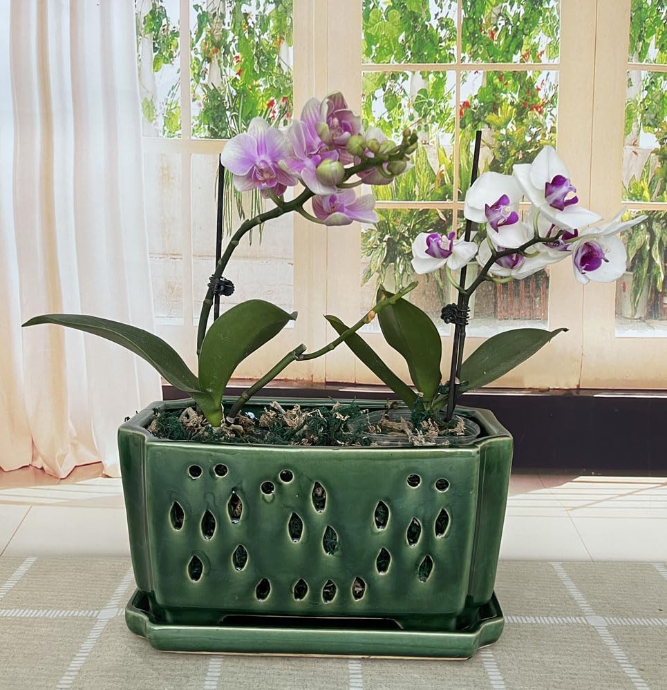 10inch Rectangle Ceramic Orchid pots with Holes with saucer (Shinny Green)