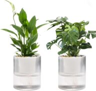 Self Watering Planter,Indoor Plants Pots for 6 Inch,2 Pack Clear White Plastic Flower Pot with Wick Rope,Home Modern Cylindrical Ribbed Decorative Pot for African Violets, Orchid,Aloe