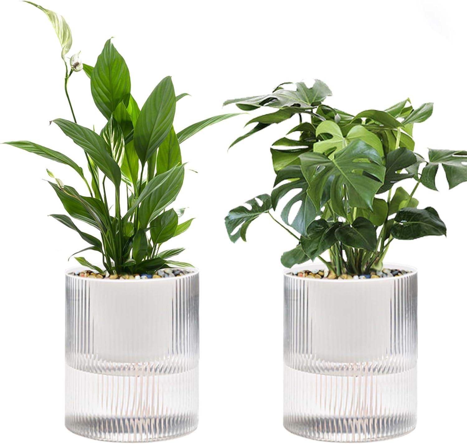 Self Watering Planter,Indoor Plants Pots for 6 Inch,2 Pack Clear White Plastic Flower Pot with Wick Rope,Home Modern Cylindrical Ribbed Decorative Pot for African Violets, Orchid,Aloe