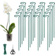 Kingsyard 24 Inch Plant Support Stake – 20 Pack, All Metal Garden Plant Stakes Plant Prop for Single Stem Flowers Dahlia Amaryllis Orchid Lily Rose Peony Tomatoes Gladiolus (Green)