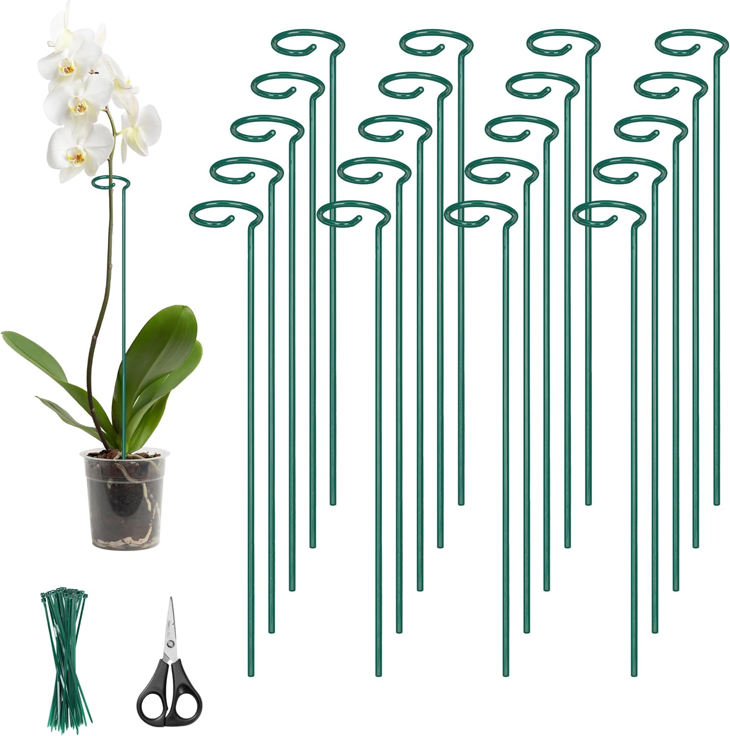 Kingsyard 24 Inch Plant Support Stake – 20 Pack, All Metal Garden Plant Stakes Plant Prop for Single Stem Flowers Dahlia Amaryllis Orchid Lily Rose Peony Tomatoes Gladiolus (Green)