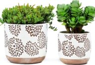 4 + 6 Inch Ceramic Pots for Indoor-Outdoor Plants, Succulent Plant Pots, Orchid Flower Pots with Drainage Hole, Stoneware Planter, Set of 2 (Brown Lange Flower, 6 + 4.3 Inch)