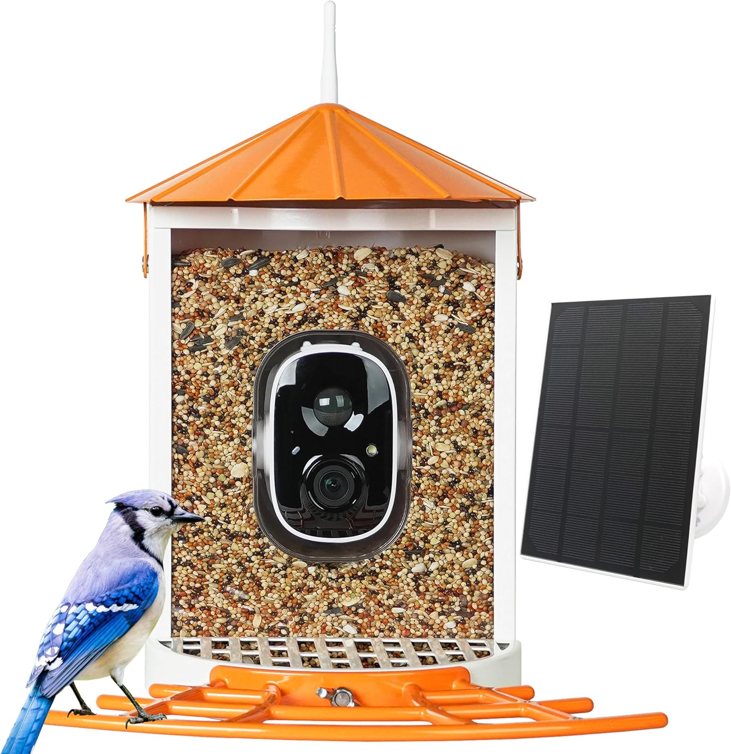 Smart Bird Feeder with Camera Solar Powered, 1080P HD Wild Bird Watching Cam Auto Capture Videos and AI Identify, Squirrel Proof Metal Bird Feeders, Ideal Gift for Bird Lovers (Orange)