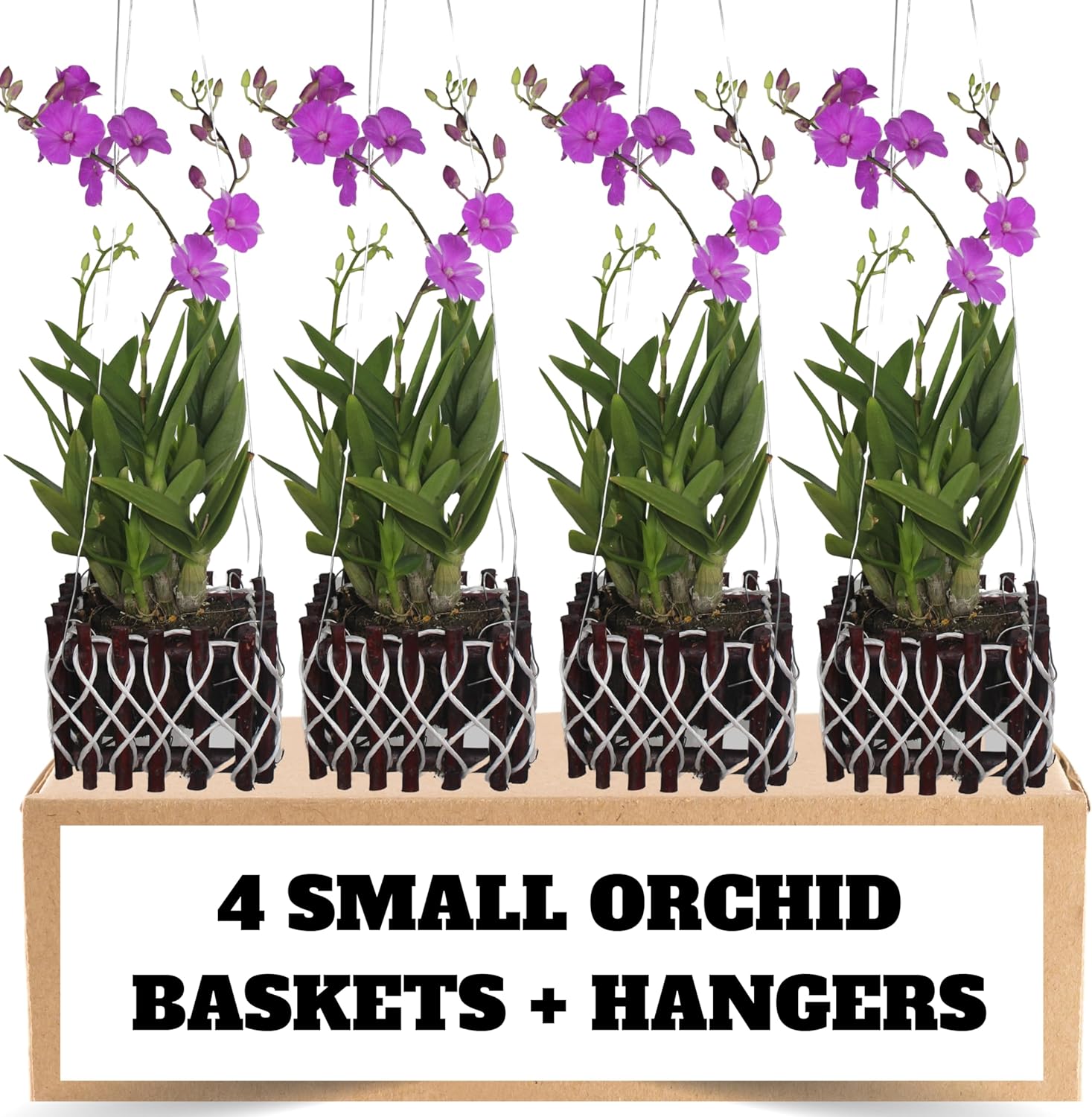 4 Small Wooden Orchid Baskets with Hangers, 5 Inches x 5 Inches x 4 Inches, Wooden Hanging Orchid Baskets, Orchid Boxes, Orchid Planters