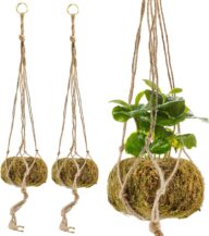 Esterno Kokedama Hanging Planters (Set of 3, 5.5in Diameter); Japanese Moss Ball Plant Holder for Ferns, Succulents, Orchids Etc