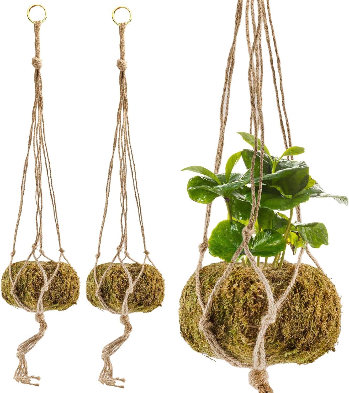 Esterno Kokedama Hanging Planters (Set of 3, 5.5in Diameter); Japanese Moss Ball Plant Holder for Ferns, Succulents, Orchids Etc