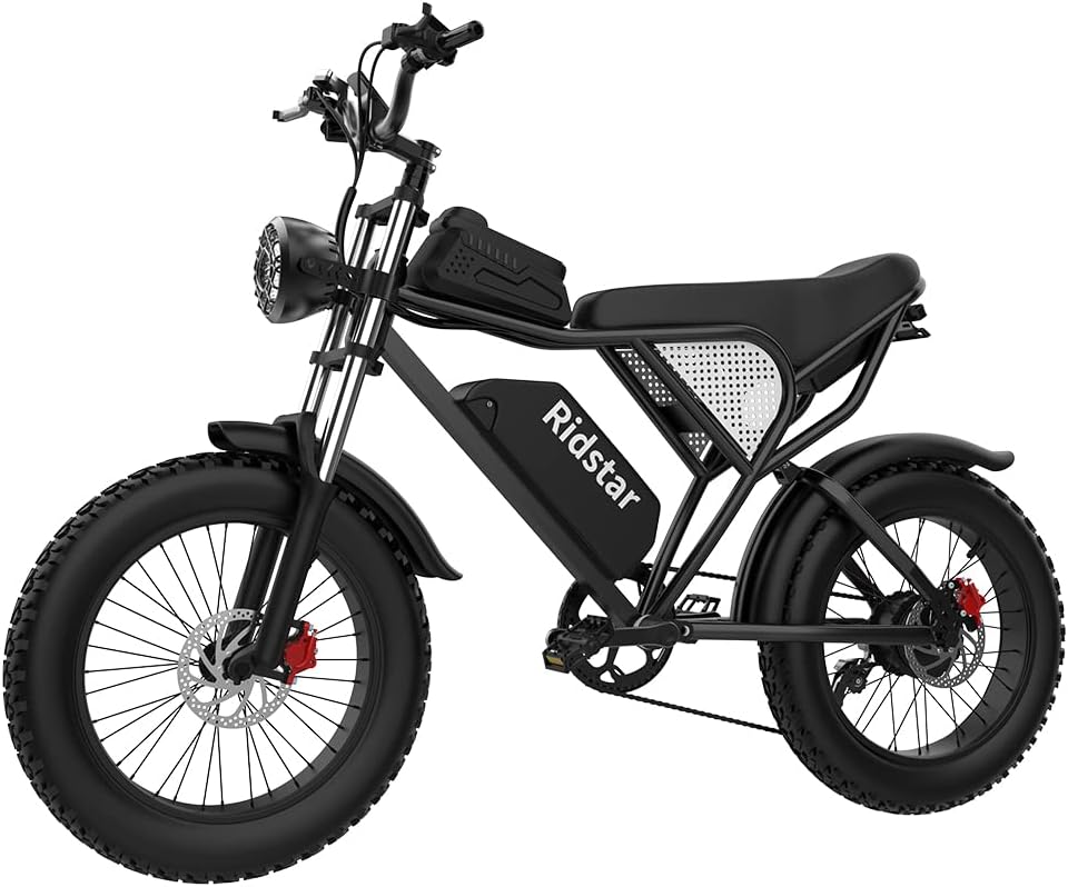 Electric Bike Adults with Removable Battery